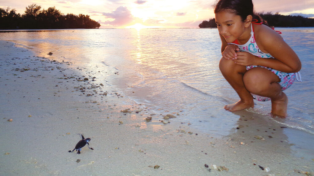 Tortue marine polynesie