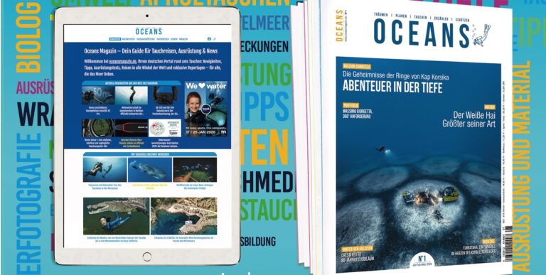 Oceans lancement bandeau