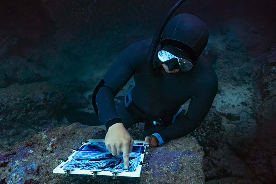 Un plongeur examine des échantillons marins tout en explorant un monde sous-marin fascinant.