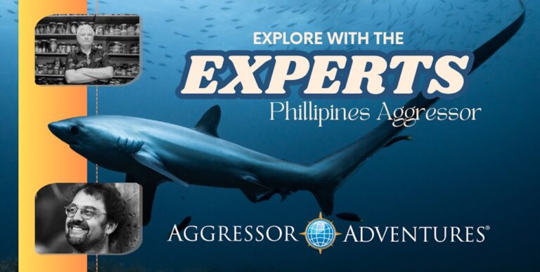 Aggressor explore with experts bandeau