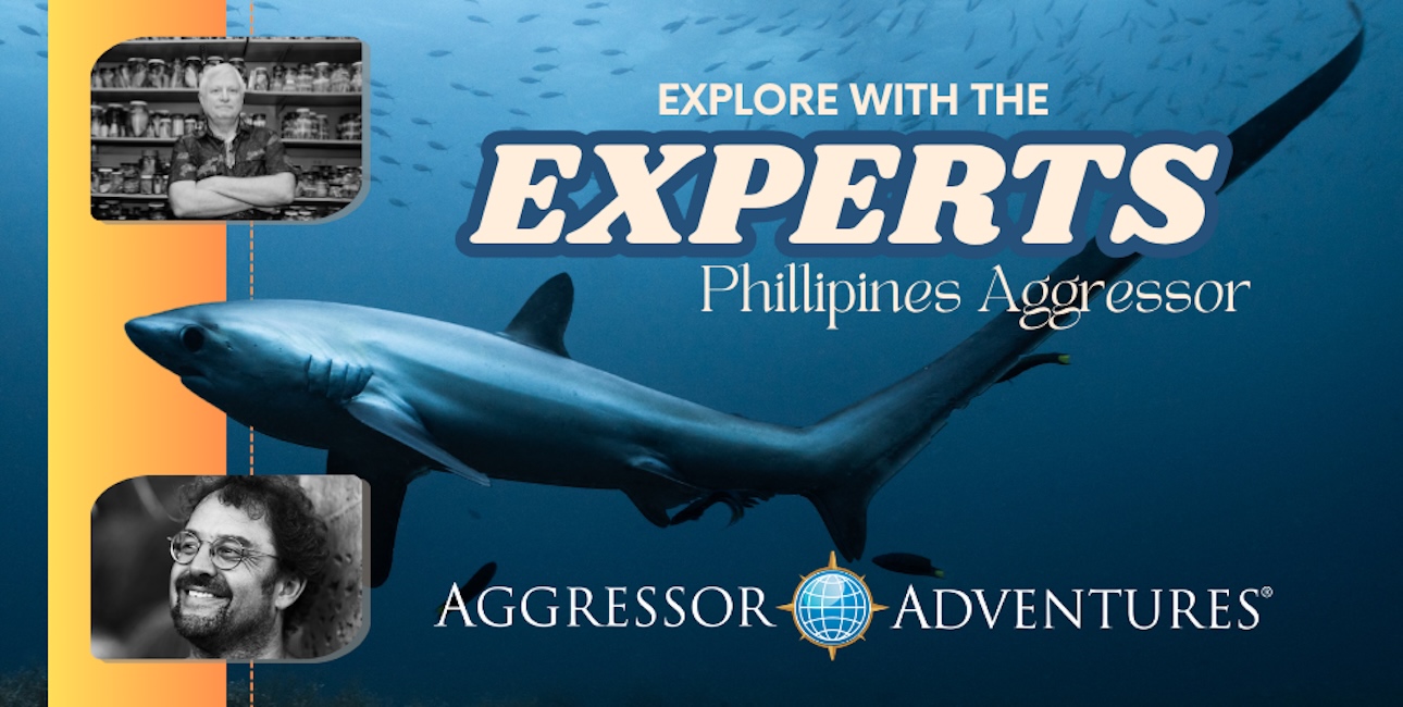Aggressor explore with experts bandeau