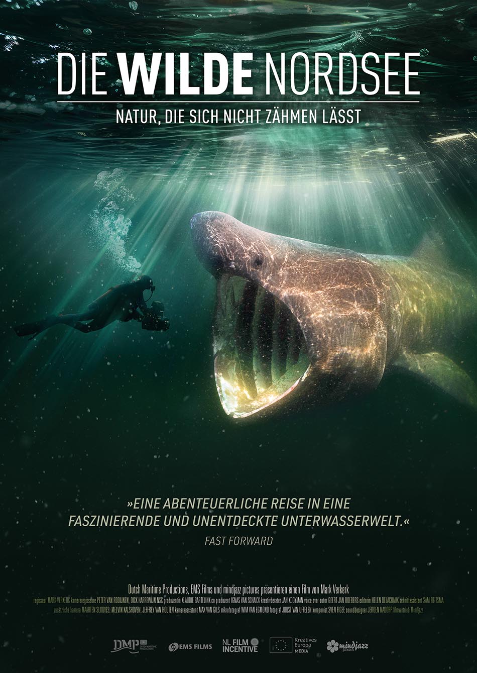 DWN webplakat