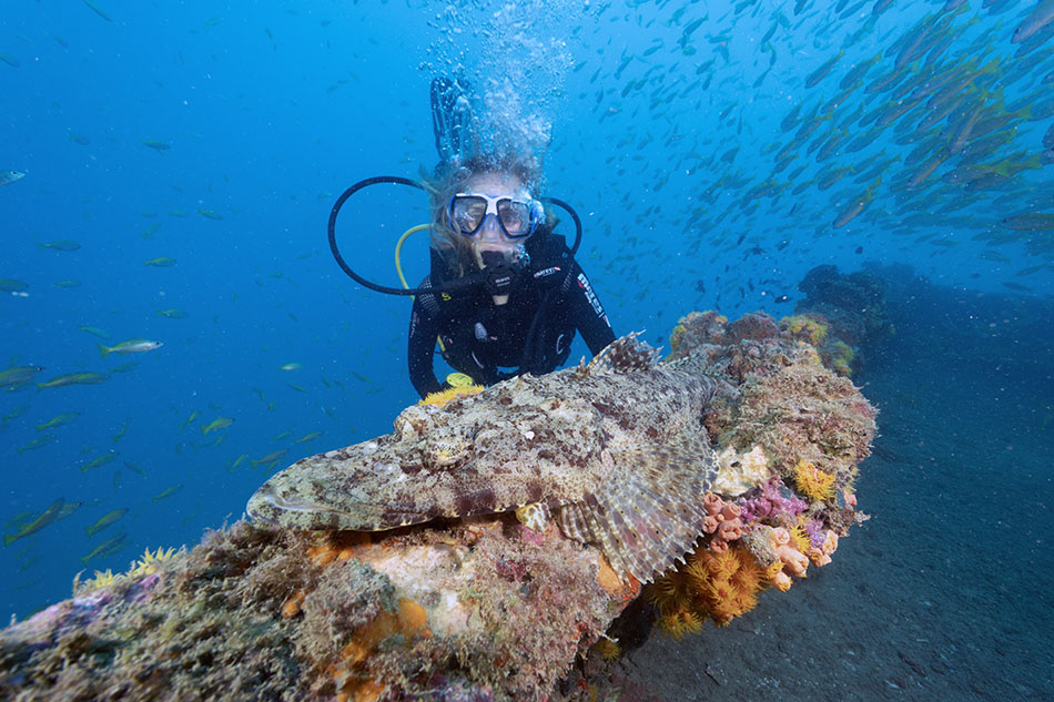 Fesselndes Tauchen mit einem Taucher, der ein buntes Riff und Fische erkundet.