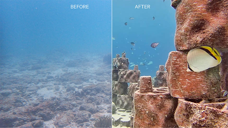 PUJ Philippines before after ©rrreefs Kopie