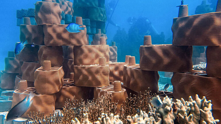 Rrreefs1